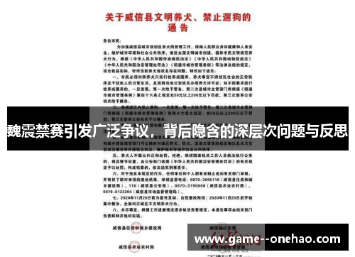 魏震禁赛引发广泛争议，背后隐含的深层次问题与反思